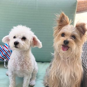 Meet your Posher, Linda